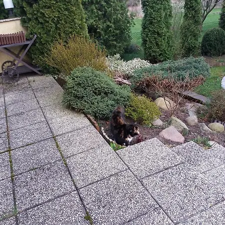 Haus Am Fluss 度假居 *